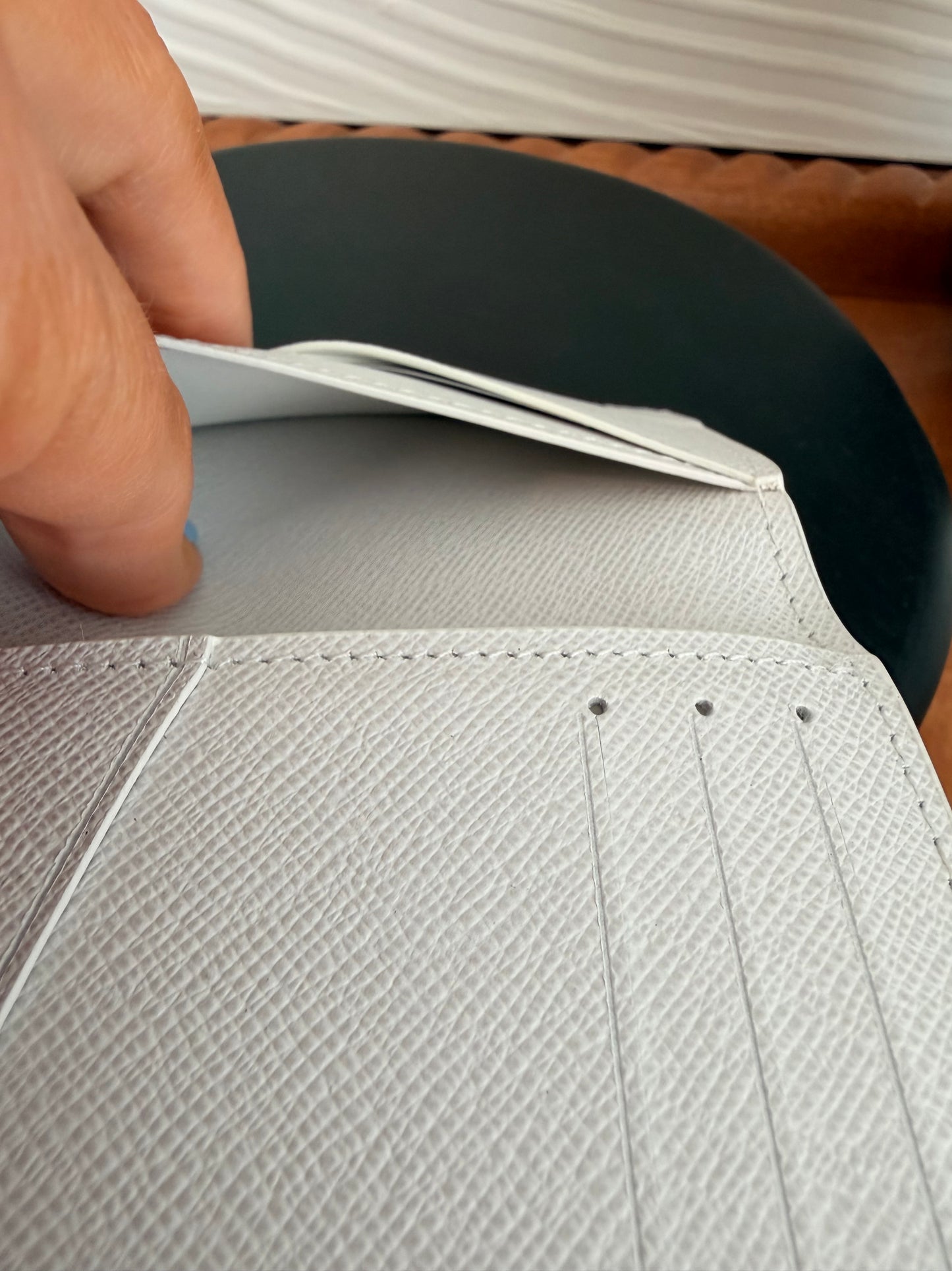Louis Vuitton Ski Pocket Organizer