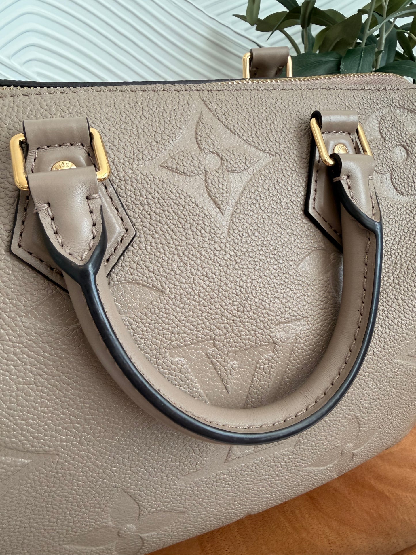 Louis Vuitton Speedy Bandoulière 25